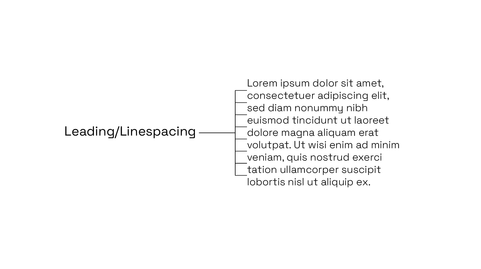 An image of type set in Space Grotesk detailing line spacing or leading.